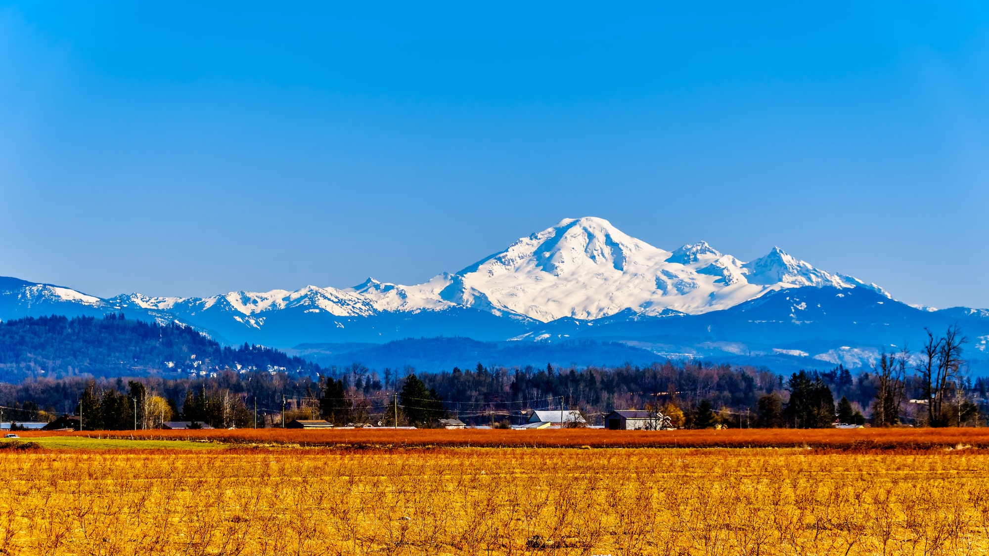 Whatcom County Property Management